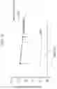 Fig. 13 - CLOSED-ENDED DNA (CEDNA) AND USE IN METHODS OF REDUCING GENE OR NUCLEIC ACID THERAPY RELATED IMMUNE RESPONSE