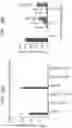 Fig. 14 - CLOSED-ENDED DNA (CEDNA) AND USE IN METHODS OF REDUCING GENE OR NUCLEIC ACID THERAPY RELATED IMMUNE RESPONSE