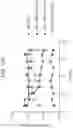 Fig. 18 - CLOSED-ENDED DNA (CEDNA) AND USE IN METHODS OF REDUCING GENE OR NUCLEIC ACID THERAPY RELATED IMMUNE RESPONSE