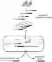 Fig. 01 - CRISPR enabled multiplexed genome engineering