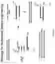 Fig. 11 - CRISPR enabled multiplexed genome engineering