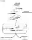 Fig. 14 - CRISPR enabled multiplexed genome engineering