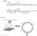 Fig. 18 - CRISPR enabled multiplexed genome engineering