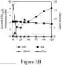Fig. 10 - Conversion of S-lignin compounds to useful intermediates