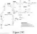 Fig. 53 - Conversion of S-lignin compounds to useful intermediates