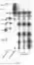 Fig. 03 - PROCESS FOR THE PRODUCTION OF ISOMALTOOLIGOSACCHARIDES