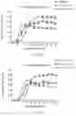 Fig. 05 - PROCESS FOR THE PRODUCTION OF ISOMALTOOLIGOSACCHARIDES