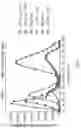 Fig. 07 - PROCESS FOR THE PRODUCTION OF ISOMALTOOLIGOSACCHARIDES