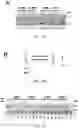 Fig. 04 - T5 exonuclease-based method to identify DNA topoisomerase inhibitors