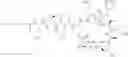 Fig. 19 - T5 exonuclease-based method to identify DNA topoisomerase inhibitors