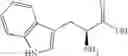 Fig. 20 - T5 exonuclease-based method to identify DNA topoisomerase inhibitors
