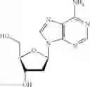 Fig. 26 - T5 exonuclease-based method to identify DNA topoisomerase inhibitors
