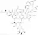 Fig. 32 - T5 exonuclease-based method to identify DNA topoisomerase inhibitors