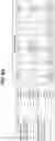 Fig. 14 - Multiplex amplification detection assay II