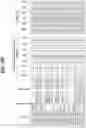 Fig. 23 - Multiplex amplification detection assay II