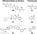 Fig. 01 - PROFILING RNA-SMALL MOLECULE BINDING SITES WITH OLIGONUCLEOTIDES