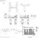 Fig. 09 - PROFILING RNA-SMALL MOLECULE BINDING SITES WITH OLIGONUCLEOTIDES