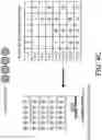 Fig. 06 - METHODS FOR DIGITAL MULTIPLEXING OF NUCLEIC ACIDS IN SITU