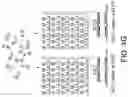 Fig. 10 - METHODS FOR DIGITAL MULTIPLEXING OF NUCLEIC ACIDS IN SITU