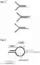 Fig. 05 - Linked paired strand sequencing