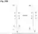 Fig. 19 - Linked paired strand sequencing