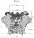 Fig. 03 - Mutant pore