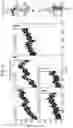 Fig. 06 - Mutant pore