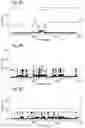 Fig. 10 - Mutant pore