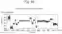 Fig. 23 - Mutant pore