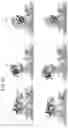 Fig. 25 - Mutant pore