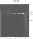 Fig. 31 - Mutant pore