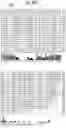 Fig. 40 - Mutant pore
