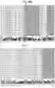 Fig. 42 - Mutant pore
