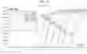 Fig. 15 - SINGLE-STRANDED NUCLEIC ACID FOR REAL-TIME DETECTION OF GENETIC VARIATION OF SINGLE TARGET GENE AND DETECTION METHOD USING THE SAME