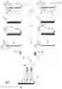 Fig. 06 - Detection of target nucleic acids using hybridization