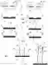 Fig. 10 - Detection of target nucleic acids using hybridization