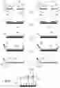 Fig. 14 - Detection of target nucleic acids using hybridization