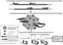 Fig. 01 - Systems and Methods for Targeting Dirofilaria immitis and Dirofilaria repens