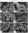 Fig. 15 - Double-flowering dwarf 