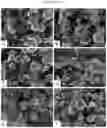 Fig. 16 - Double-flowering dwarf 