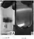 Fig. 05 - METHODS TO QUANTIFY VIRUS FROM WASTEWATER