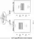 Fig. 18 - METHODS TO QUANTIFY VIRUS FROM WASTEWATER