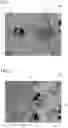 Fig. 02 - Plated steel sheet