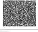 Fig. 02 - WEAR RESISTANT ALLOY