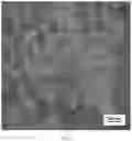 Fig. 06 - Preparation method of nickel-based wrought superalloy wheel disk forgings used at high temperature