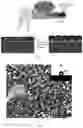 Fig. 02 - METHOD FOR PREPARING MATRIX PROTECTIVE COATING
