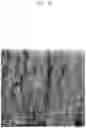 Fig. 10 - METHOD OF DEPODITING AlN THIN FILM