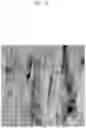 Fig. 11 - METHOD OF DEPODITING AlN THIN FILM