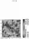 Fig. 16 - METHOD OF DEPODITING AlN THIN FILM