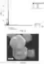 Fig. 04 - Cu/CuO interface nanostructures for electrochemical COreduction